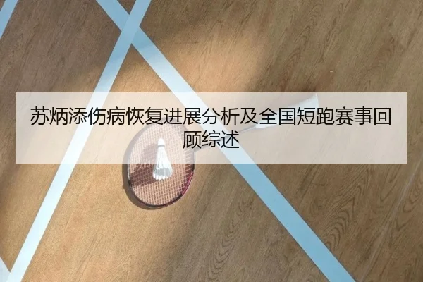 苏炳添伤病恢复进展分析及全国短跑赛事回顾综述