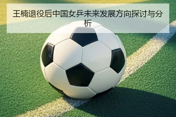 王楠退役后中国女乒未来发展方向探讨与分析